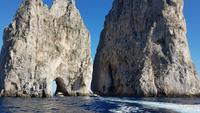 Insel Capri, Bootsfahrt, Faraglioni