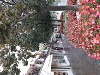111_Meran_Promenade