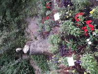 126_T.Gärten_Sissi Denkmal