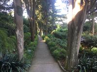 036 Villa San Michele in Anacapri