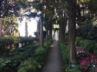 038 Villa San Michele in Anacapri