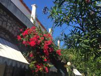 080 Blütenpracht in Capri