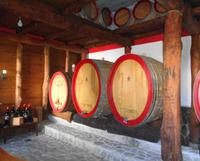 Italien - Nationalpark Cilento - Weingut Marino, Agropoli