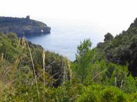 Italien - Nationalpark Cilento - Küstenwanderung an der Costa degli Infreschi