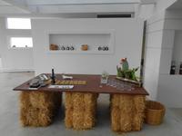 Italien - Nationalpark Cilento - Feigen-Verkostung, Prignano Cilento