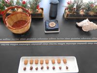 Italien - Nationalpark Cilento - Feigen-Verkostung, Prignano Cilento