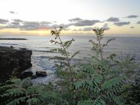 Italien - Nationalpark Cilento - Küste von S. Marco di Castellabate