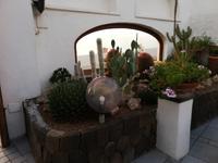 Forio, unser Hotel La Scogliera