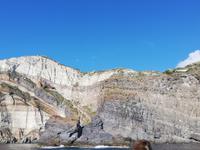 Inslrundfahrt Ischia mit dem Schiff