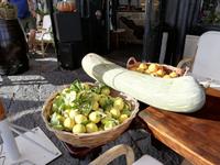 Inslrundfahrt Ischia mit dem Schiff, Aufenthalt in S. Angelo