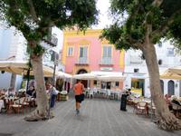 Forio, Rundgang mit Gabi