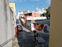 Forio, Rundgang mit Gabi