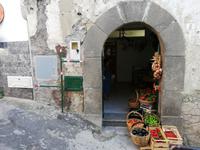 Forio, Rundgang mit Gabi