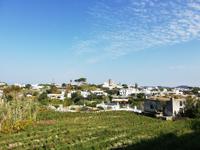 Forio, Rundgang mit Gabi