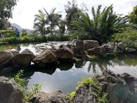 Forio, Rundgang mit Gabi, Garten La Mortella