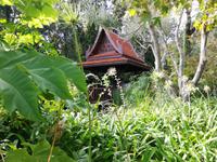 Forio, Rundgang mit Gabi, Garten La Mortella