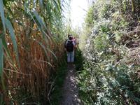 Wanderung Piano Liguori