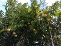 Wanderung Piano Liguori