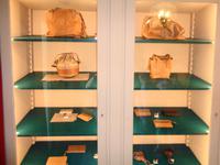 Italien - Nationalpark Cilento - Büffelfarm Vannulo, Capaccio