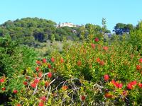 Italien - Capri - Villa Jovis 