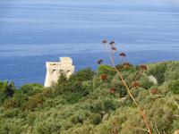 Italien - Sorrentinische Halbinsel - Wanderung Punta Campanella 