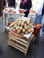 Indische Feigen ungeschält 