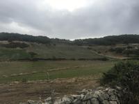 Vernebelte Landschaft bei Wanderung in der Auvergne
