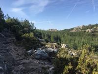 Wanderung am Monte Limbara
