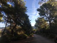 Wanderung durch Küstenwald