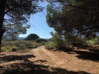 Wanderweg bei Isola Rossa