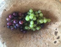 Weintrauben in einer typischen Korkschale