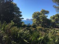 Wilde Maccia auf dem Rückweg der Wanderung