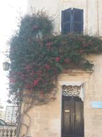 Mdina