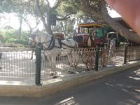 Für die Touristen-Stadtrundfahrt