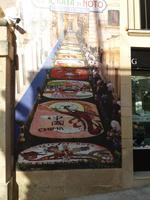 Blumenstraße in Noto