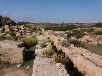 im Archäologischen Park