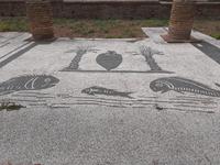 In Ostia Antica. Mosaik.