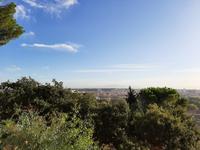 Blick vom Janushügel.