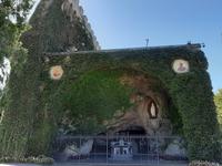 In den Vatikanischen Gärten.