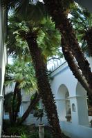 Isola di Capri - Villa San Michele - Axel Munthe