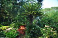 Isola di Capri - Villa San Michele - Axel Munthe