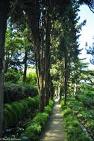 Isola di Capri - Villa San Michele - Axel Munthe