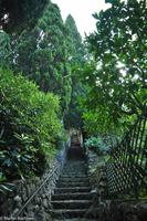 Isola di Capri - Villa San Michele - Axel Munthe