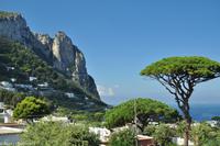 Isola di Capri - Anacapri