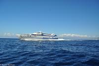 Isola di Capri - Inselumrundung mit dem Boot