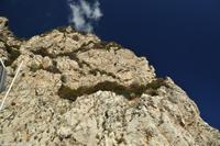 Isola di Capri - Inselumrundung mit dem Boot