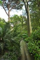 Impressionen aus Ischia - Botanischer Garten 