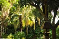 Impressionen aus Ischia - Botanischer Garten 