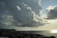 Impressionen aus Ischia - Botanischer Garten 