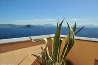 Isola di Procida - Ein Traum! Geheimtipp!